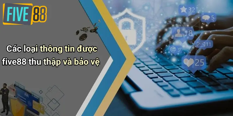 Các loại thông tin được five88 thu thập và bảo vệ